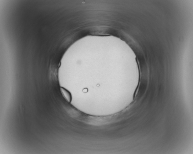 X0000115100045200911241242