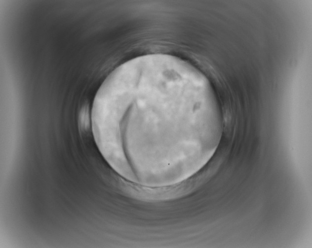 X0000115100046200911241242