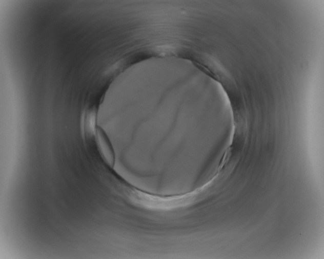 X0000115100047200911241242