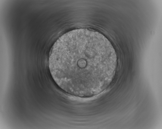 X0000115100048200911241242