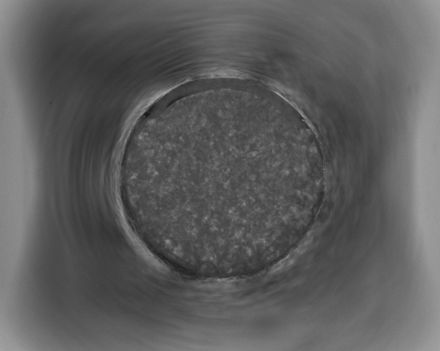 X0000115100049200911241242