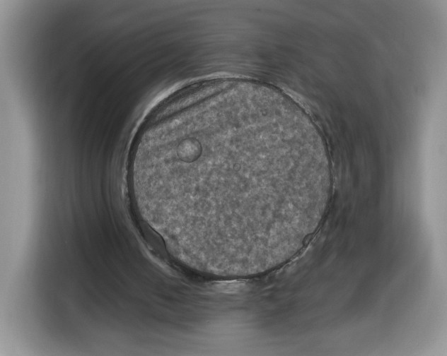 X0000115100050200911241242