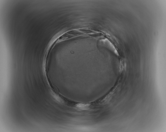 X0000115100051200911241242