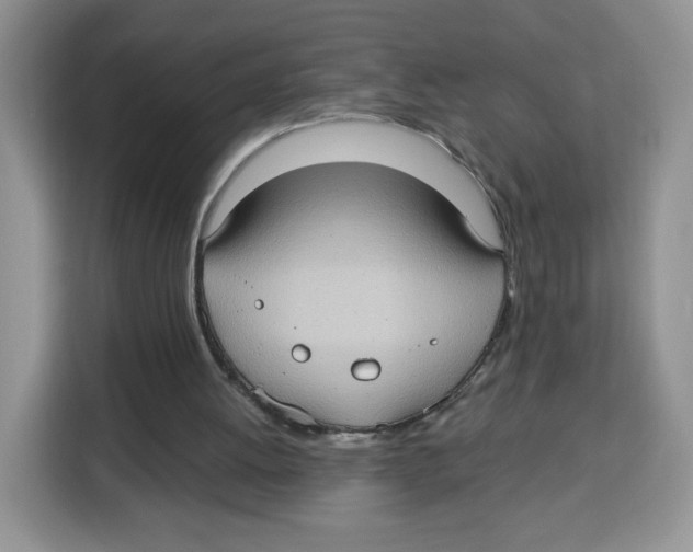 X0000115100052200911241242