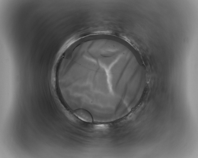 X0000115100053200911241242