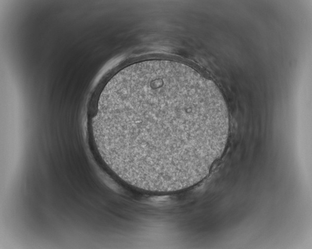 X0000115100054200911241242