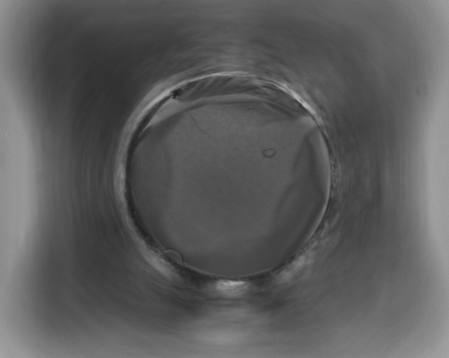 X0000115100055200911241242