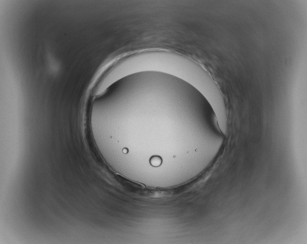 X0000115100056200911241242