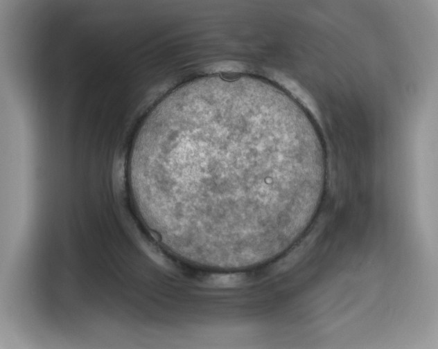 X0000115100057200911241242