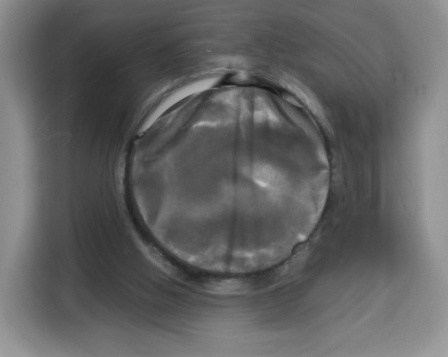 X0000115100058200911241242