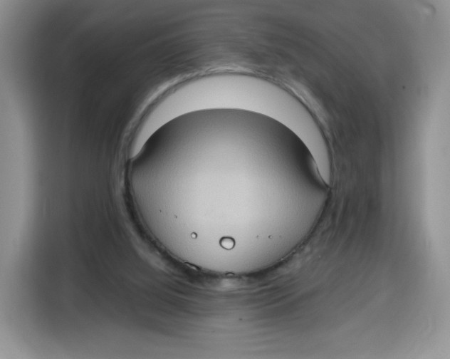 X0000115100060200911241242