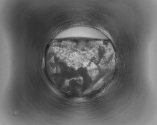 X0000115100061200911241242