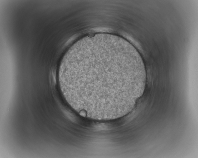 X0000115100062200911241242