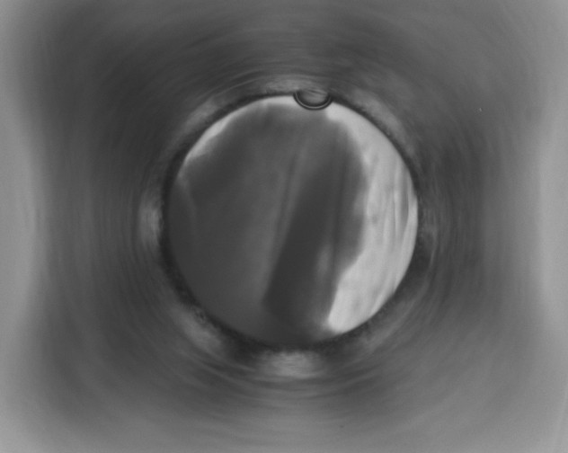 X0000115100063200911241242