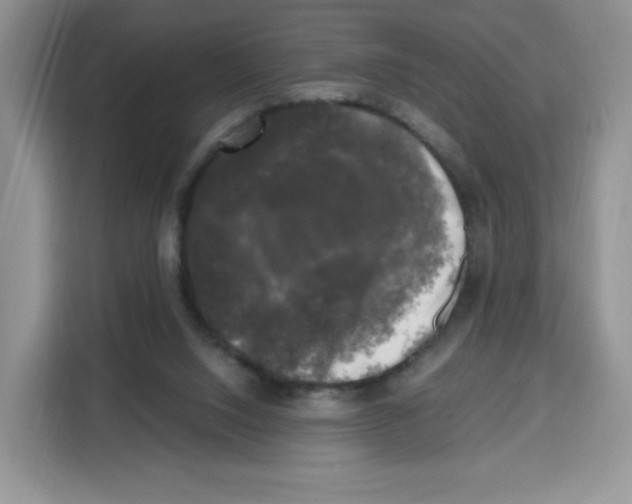 X0000115100064200911241242