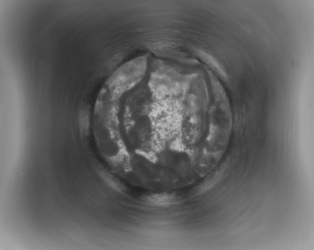 X0000115100065200911241242