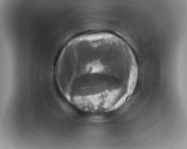 X0000115100066200911241242