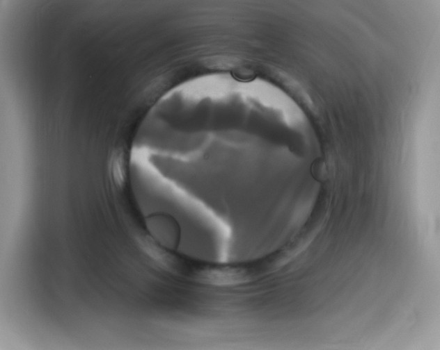 X0000115100069200911241242