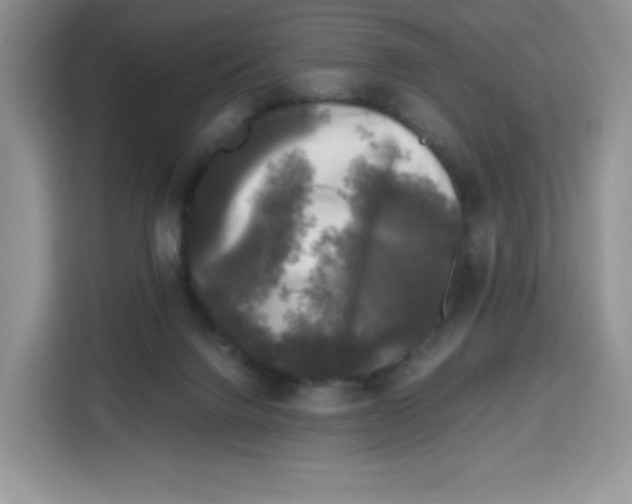 X0000115100072200911241242