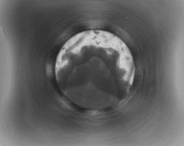 X0000115100074200911241242