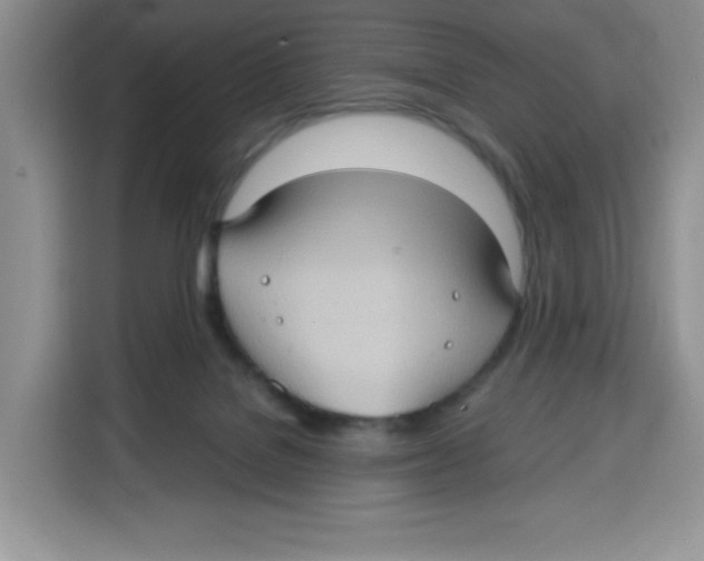 X0000115100076200911241242