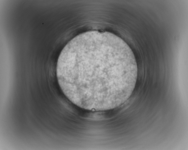 X0000115100078200911241242