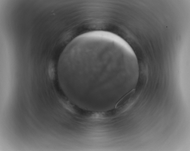 X0000115100080200911241242