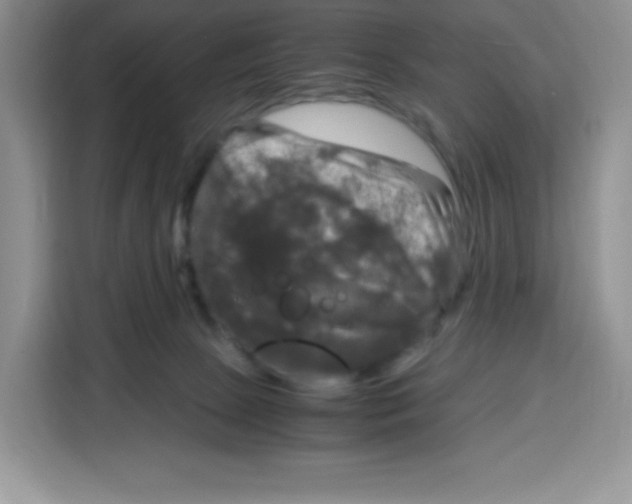 X0000115100081200911241242