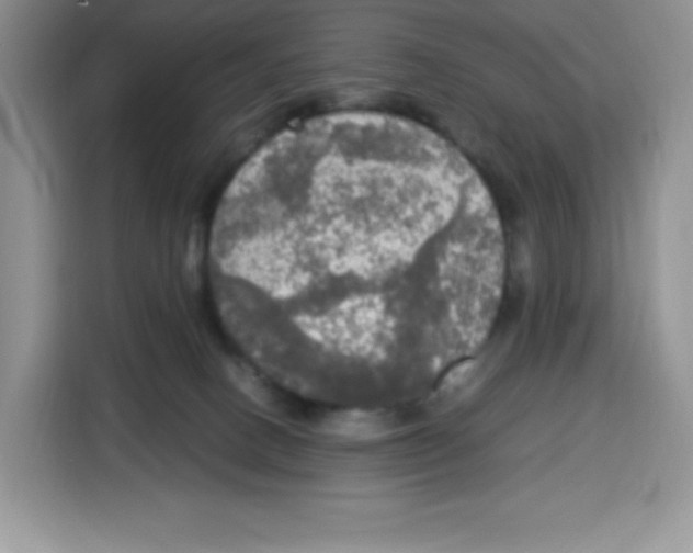 X0000115100082200911241242