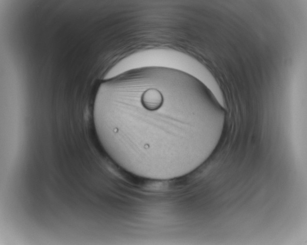 X0000115100084200911241242