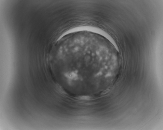 X0000115100085200911241242