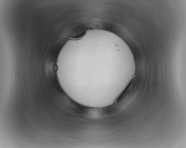 X0000115100088200911241242