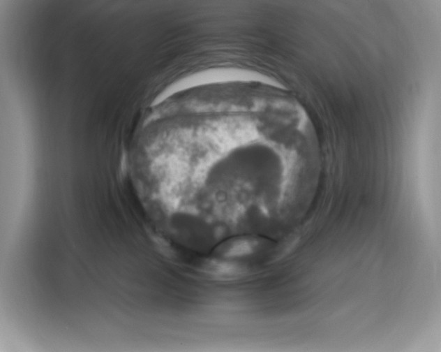 X0000115100089200911241242