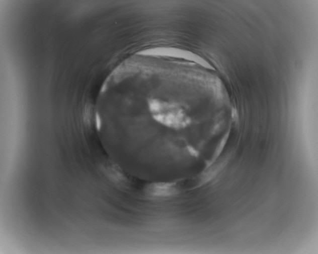 X0000115100093200911241242