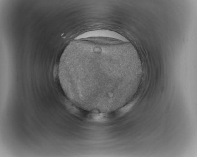 X0000115100096200911241242