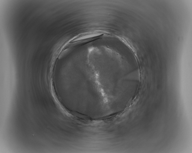 X0000115100097200911241242