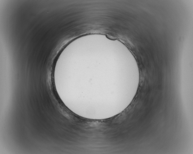 X0000115100098200911241242