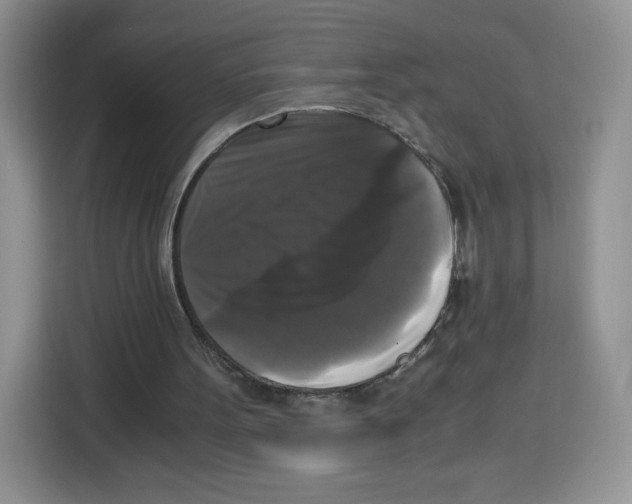 X0000115100099200911241242