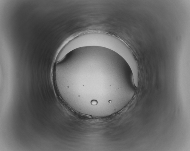 X0000115100100200911241242