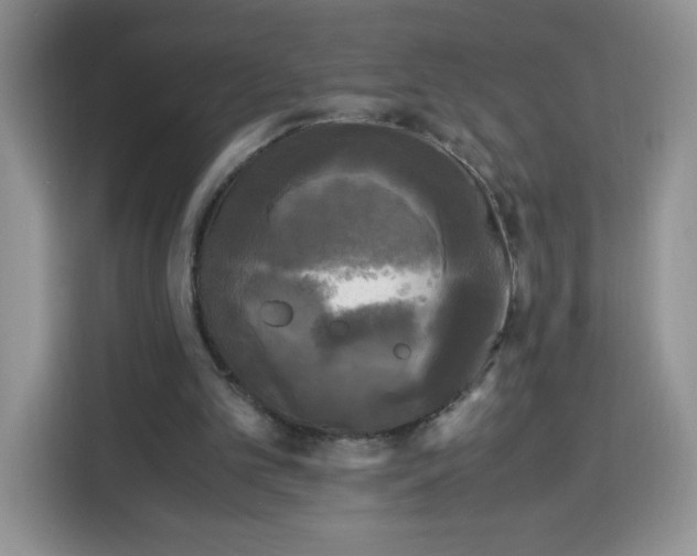 X0000115100101200911241242