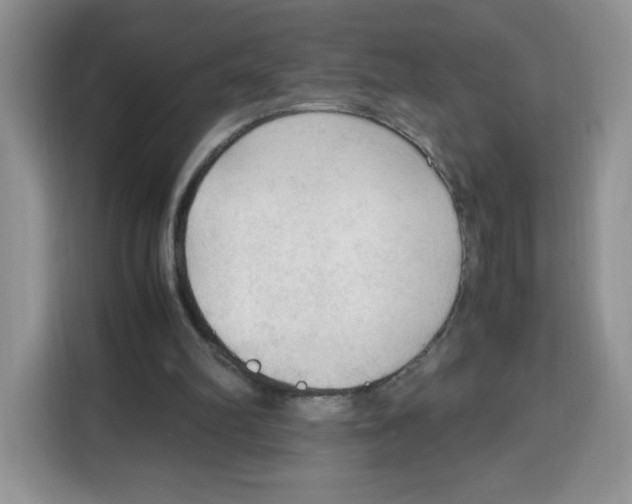 X0000115100102200911241241