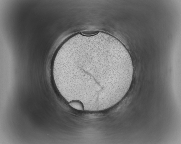 X0000115100103200911241241