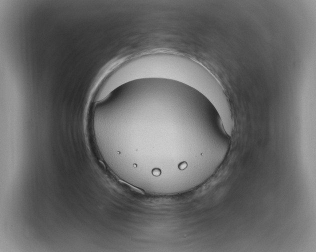 X0000115100104200911241241