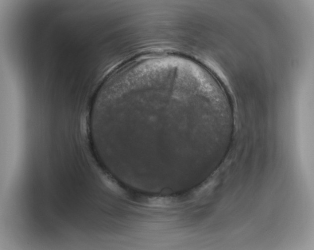 X0000115100105200911241241