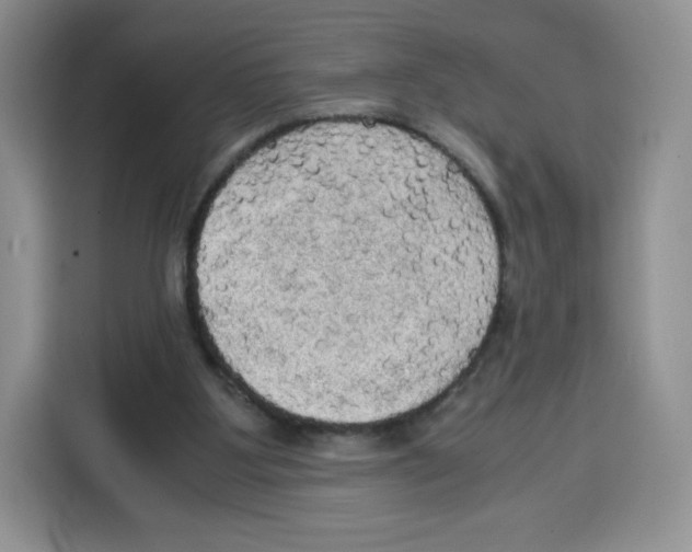 X0000115100107200911241241