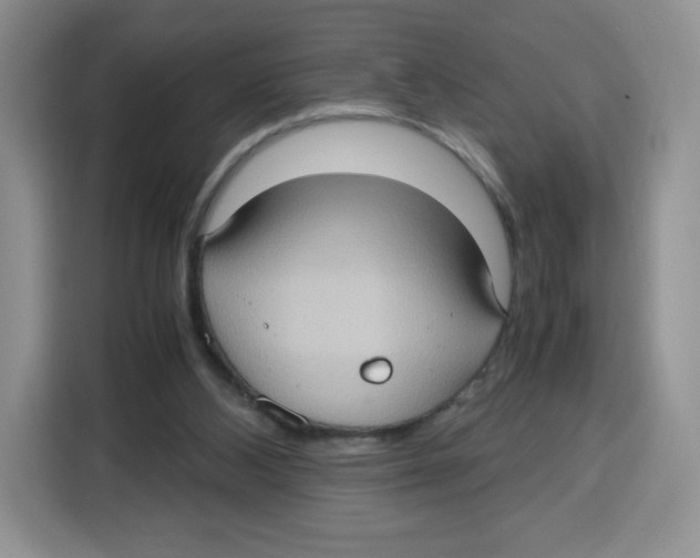 X0000115100108200911241241