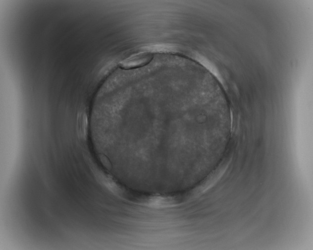 X0000115100109200911241241