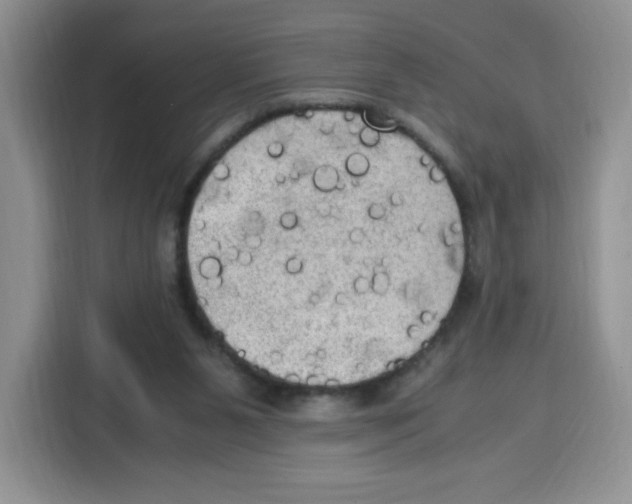 X0000115100111200911241241