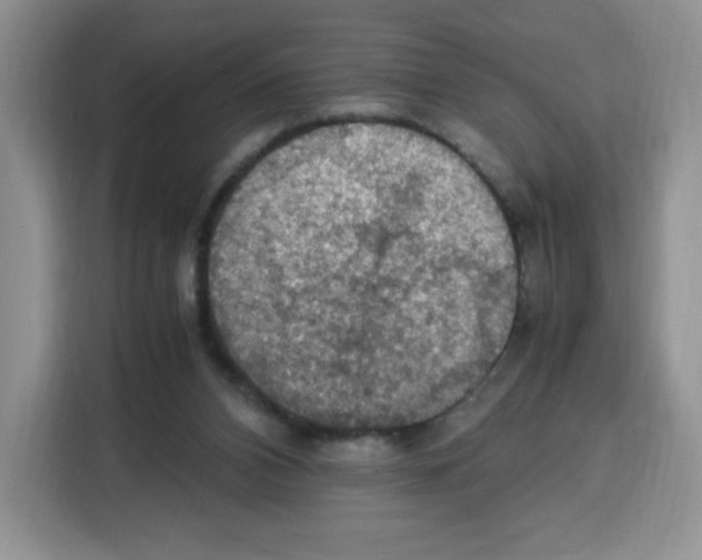 X0000115100112200911241241