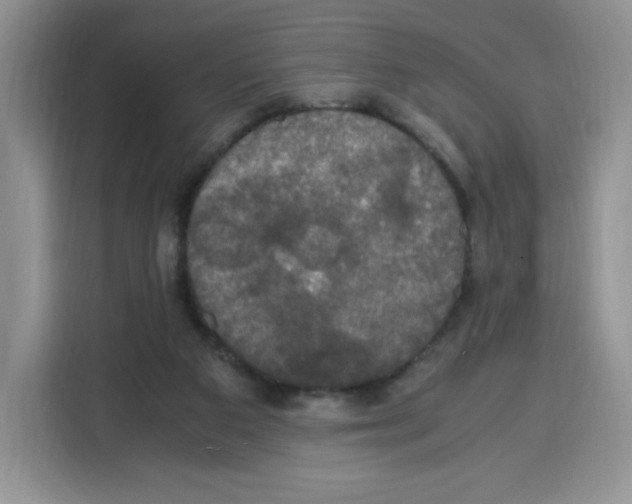 X0000115100113200911241241